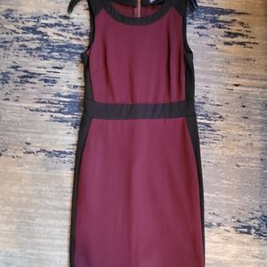 Figure flattering two tone dress